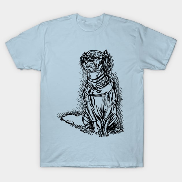 "Sassy" T-Shirt by jondenby